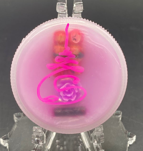 Sacred Charm Balm Nang Rap - Mon Teacher’s Magic by Kruba Khamfan, Wat Kochok (2025)