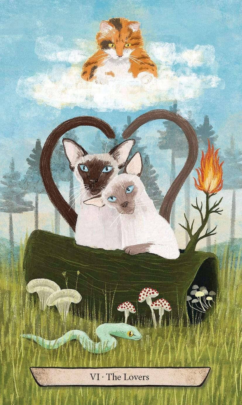 Enchanted Forest Felines Tarot Deck – 78-Card Rider-Waite System Tarot with Magical Woodland Cat Illustrations, Compact 10.3 x 6 cm