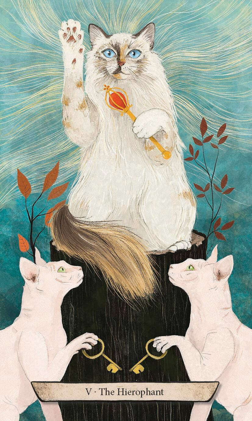 Enchanted Forest Felines Tarot Deck – 78-Card Rider-Waite System Tarot with Magical Woodland Cat Illustrations, Compact 10.3 x 6 cm