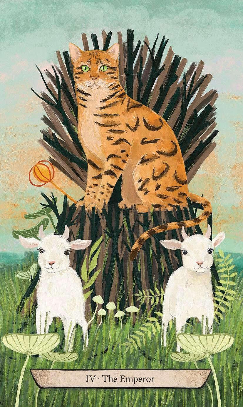 Enchanted Forest Felines Tarot Deck – 78-Card Rider-Waite System Tarot with Magical Woodland Cat Illustrations, Compact 10.3 x 6 cm