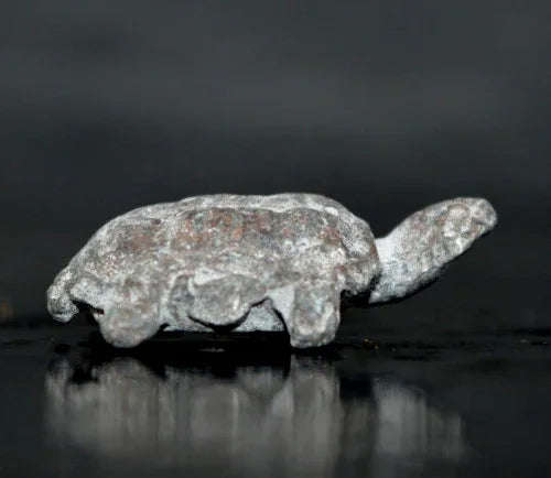 ✨ Fortunate Protector – Miniature Turtle Amulet by Phra Kru Noi for Wealth, Luck & Spiritual Defense