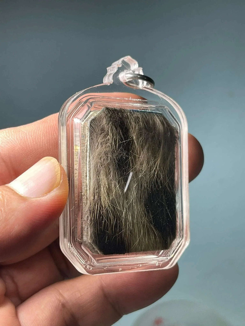 🧿 Ghost Bone Powder Phra Pidta – Supreme Love & Wealth Magnet by Ajarn Nipon, Wat Lon, Phatthalung (Top #1 Temple Bestseller) - Thai Blessing Co By RURUECHA