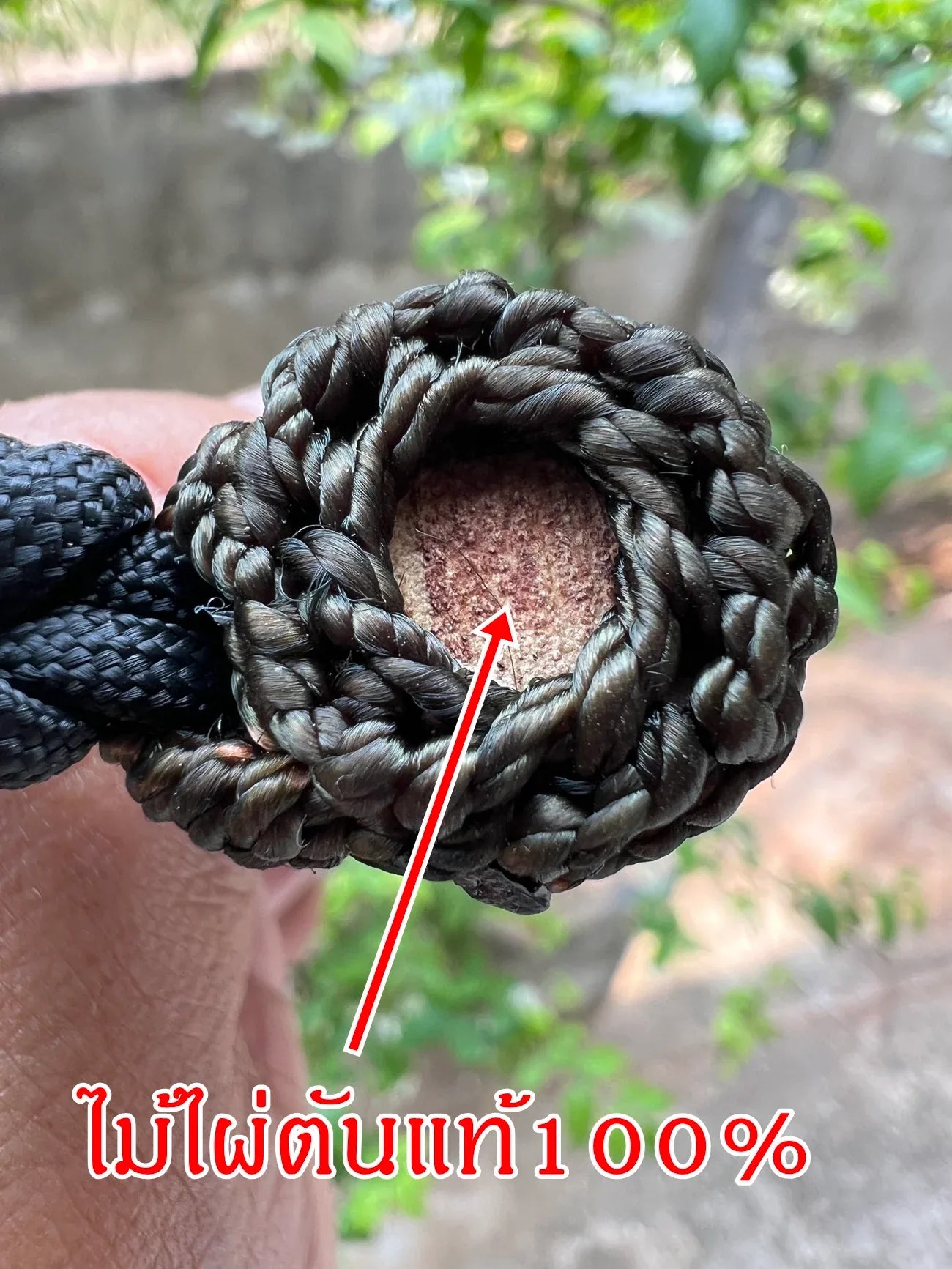 Ultra-Rare Hand-Inscribed Bamboo Takrut for Spiritual Protection