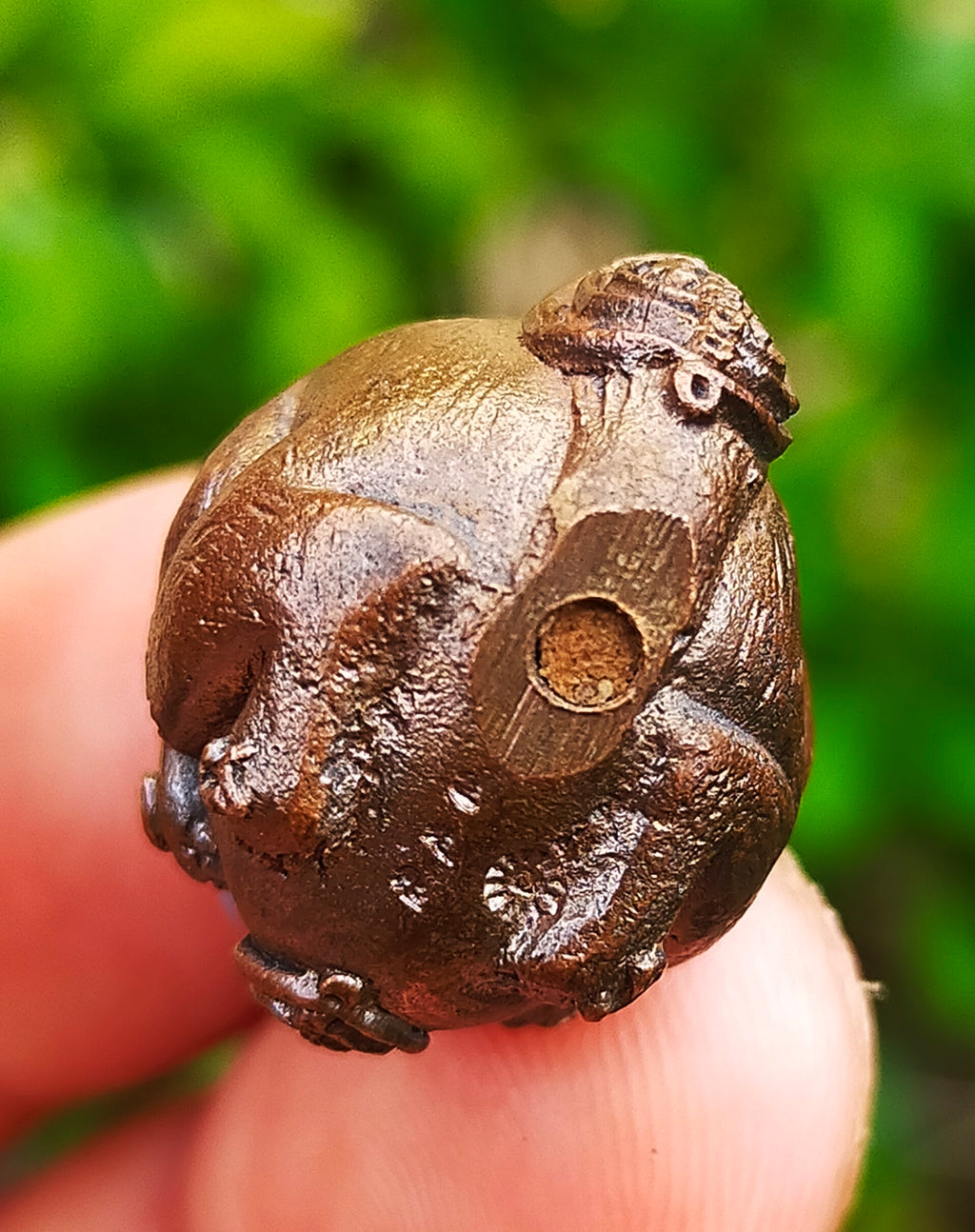 Luk Om Chamot Riek Sap Amulet by Luang Phor Erb – Ultimate Wealth and Prosperity Charm