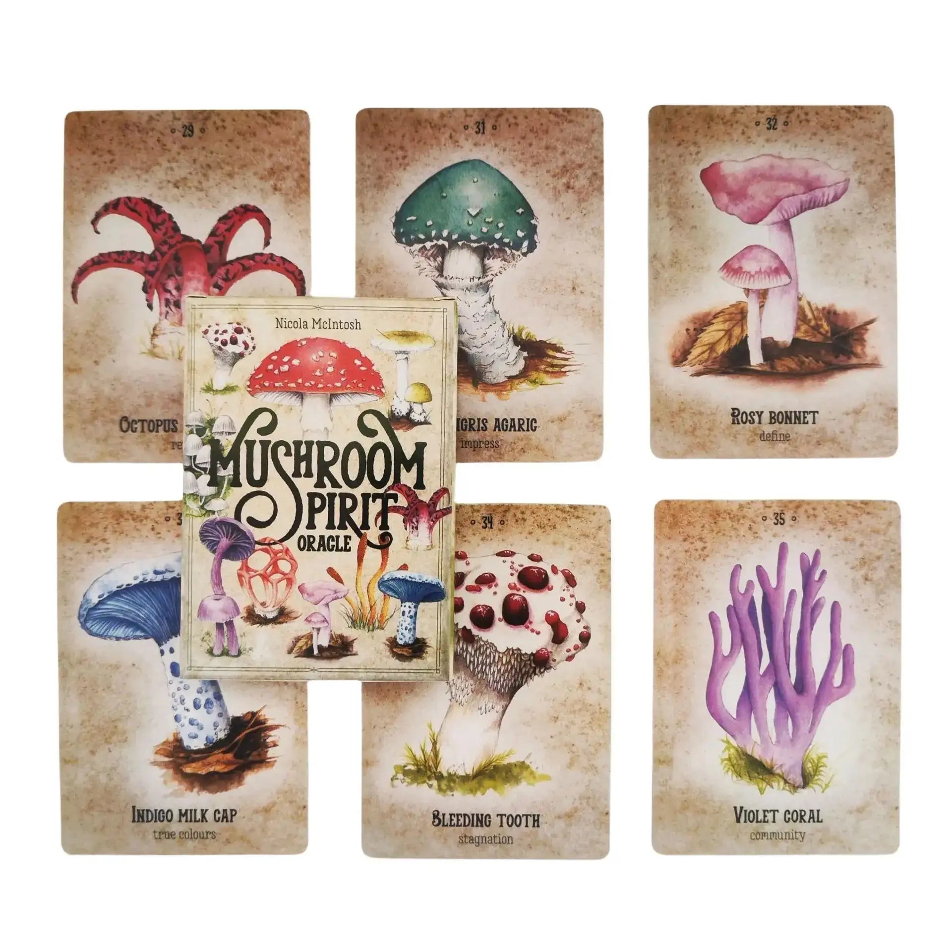 🍄 Mushroom Spirit Oracle Cards – Enchanting 44-Card Deck for Spiritual Growth and Guidance