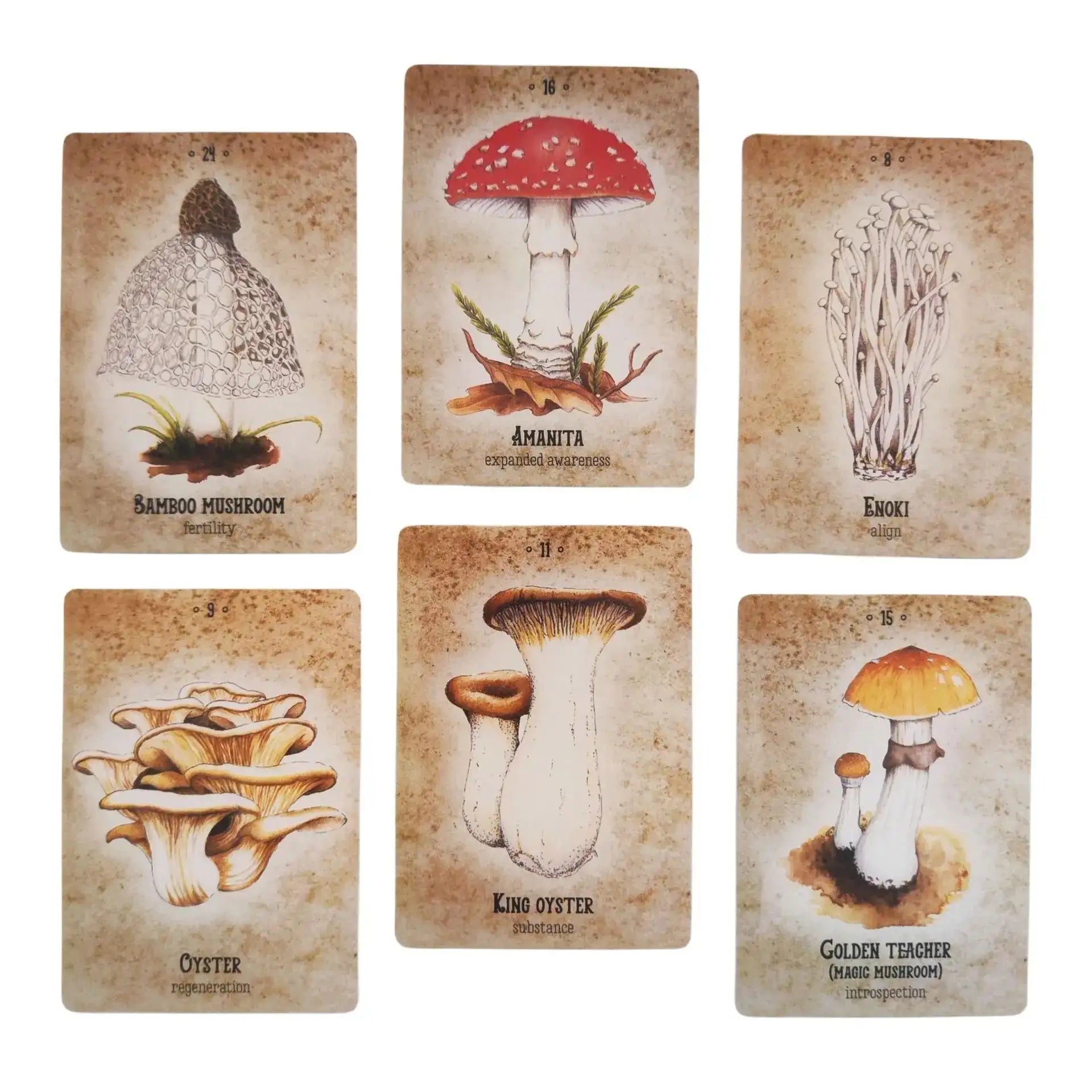 🍄 Mushroom Spirit Oracle Cards – Enchanting 44-Card Deck for Spiritual Growth and Guidance