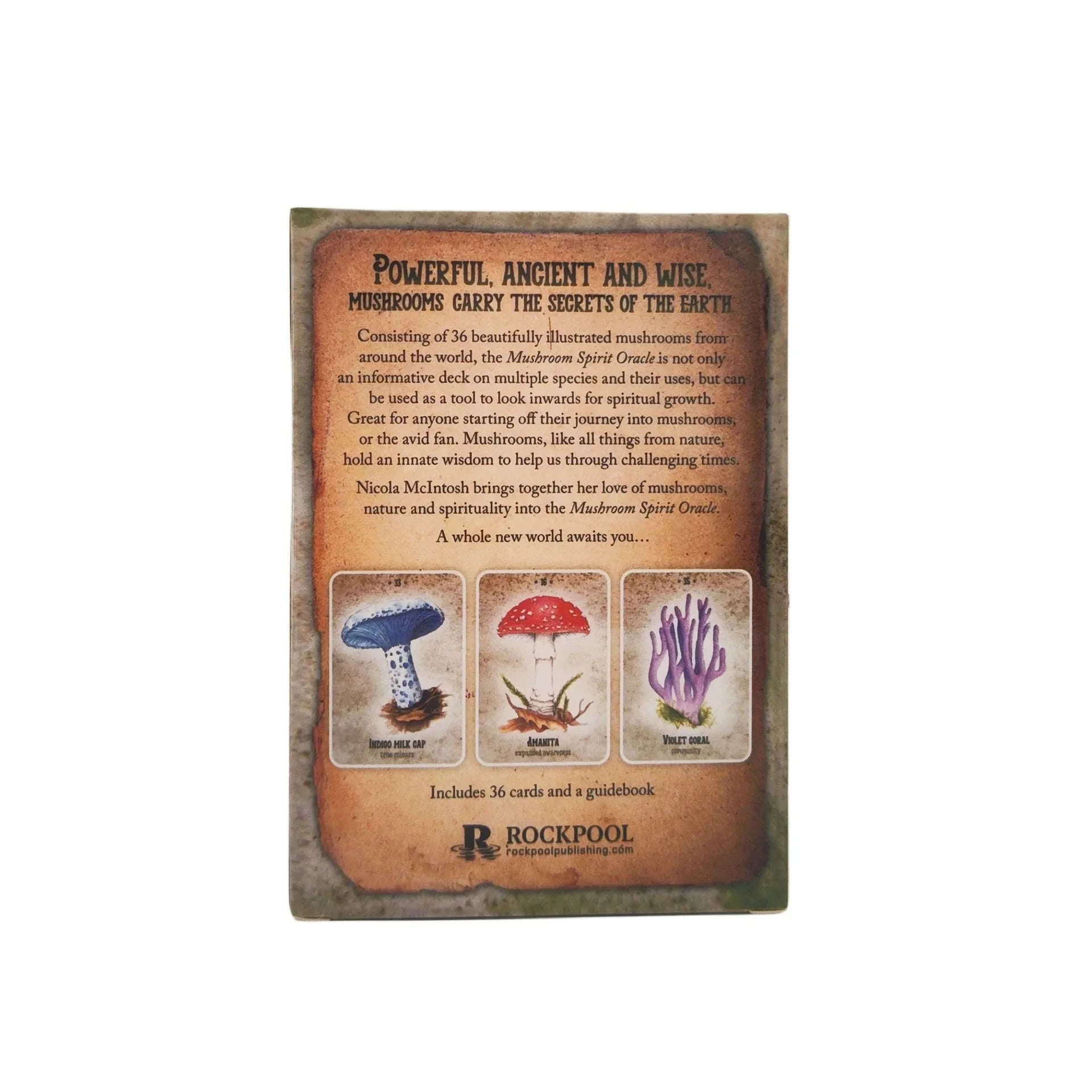 🍄 Mushroom Spirit Oracle Cards – Enchanting 44-Card Deck for Spiritual Growth and Guidance