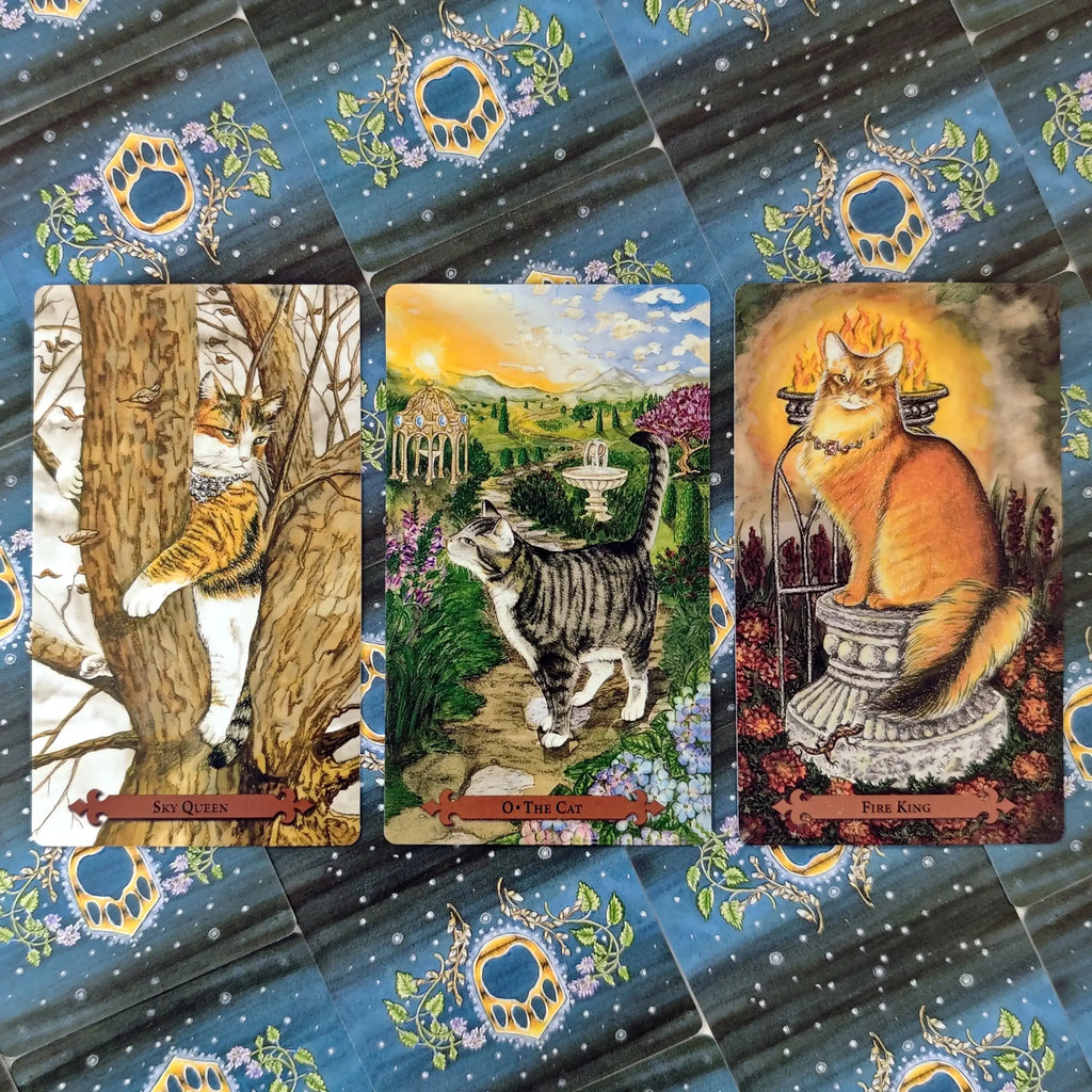 🐾 Mystical Cat Tarot Deck – Full 78-Card Set Featuring Enchanting Cat Imagery for English Visions Divination and Board Games