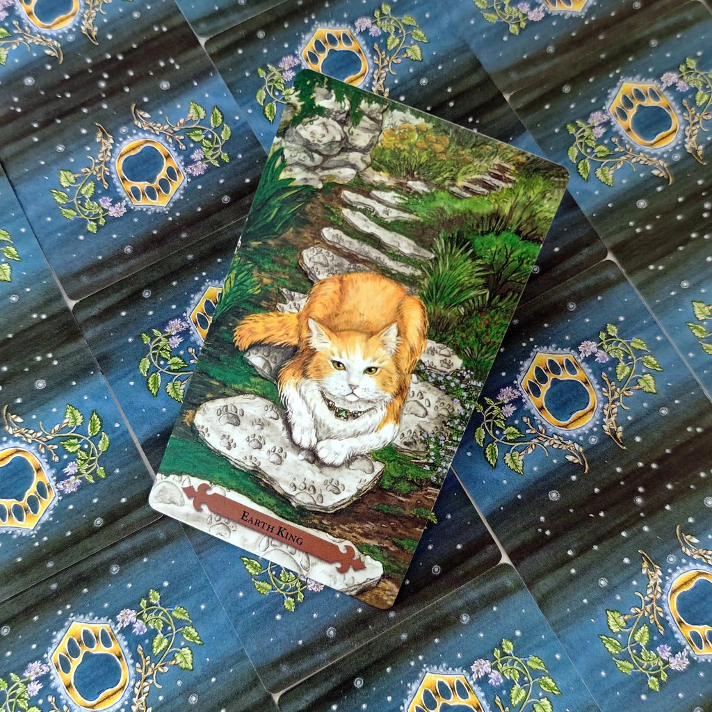 🐾 Mystical Cat Tarot Deck – Full 78-Card Set Featuring Enchanting Cat Imagery for English Visions Divination and Board Games