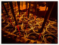 Potent Namman Prai Balm for Spiritual Power | Chanwad Phrai Lokee Balm
