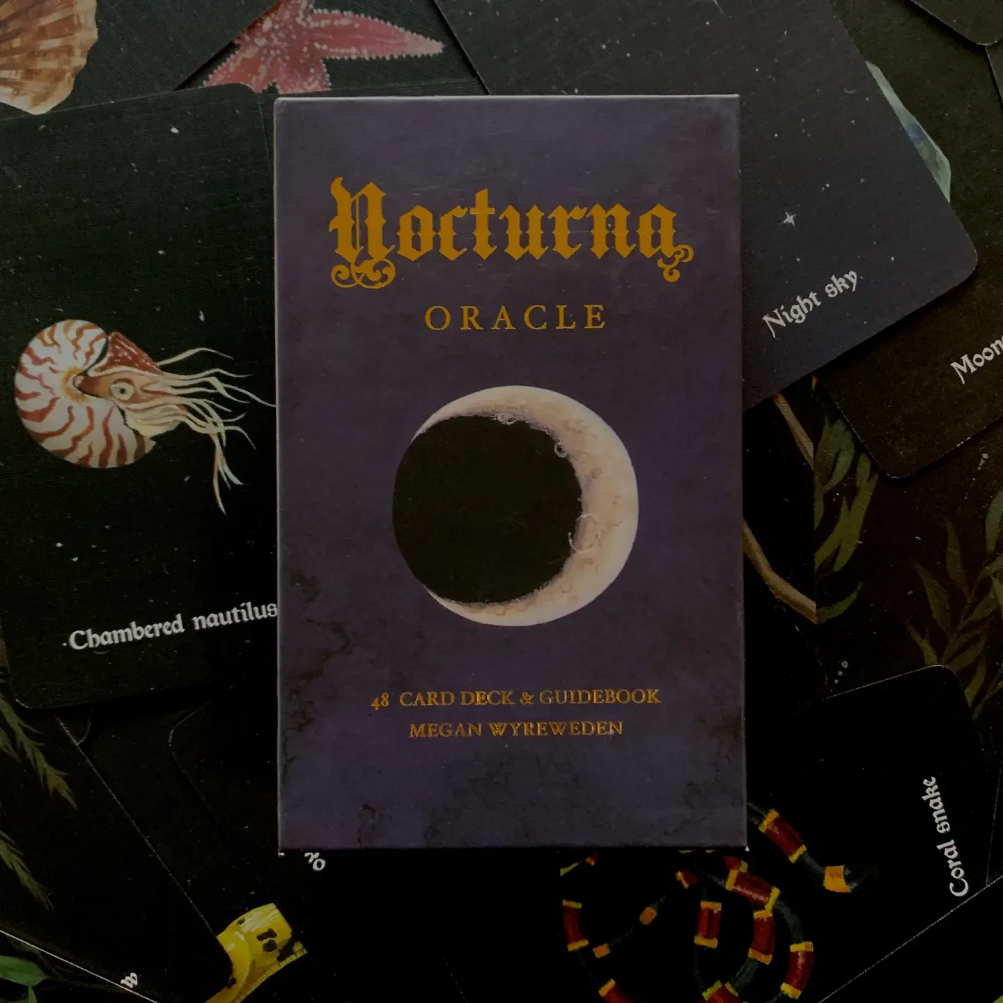Nocturna Oracle Deck – 48 Cards Featuring Nighttime Creatures and Energies, Compact 10.3 x 6 cm