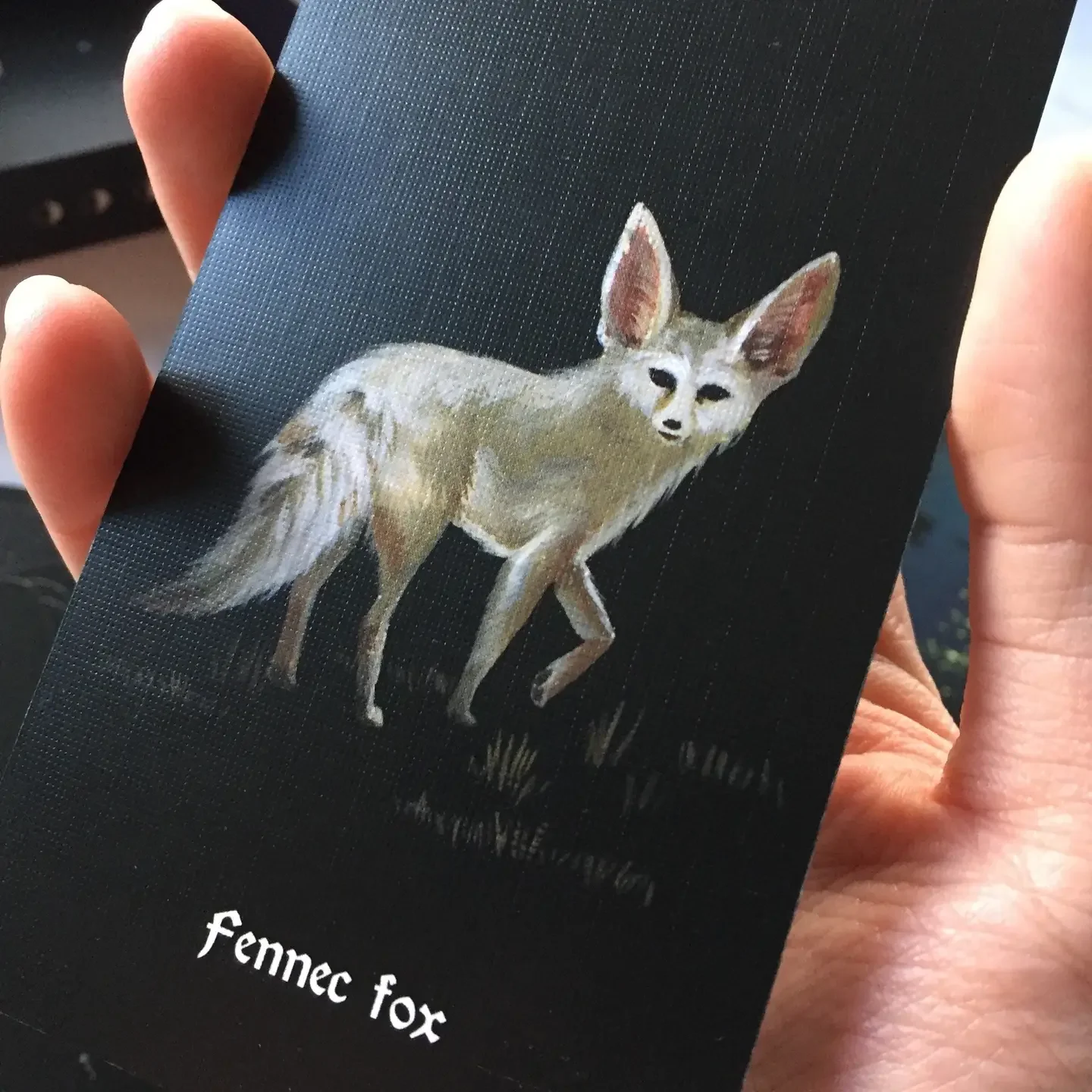 Nocturna Oracle Deck – 48 Cards Featuring Nighttime Creatures and Energies, Compact 10.3 x 6 cm