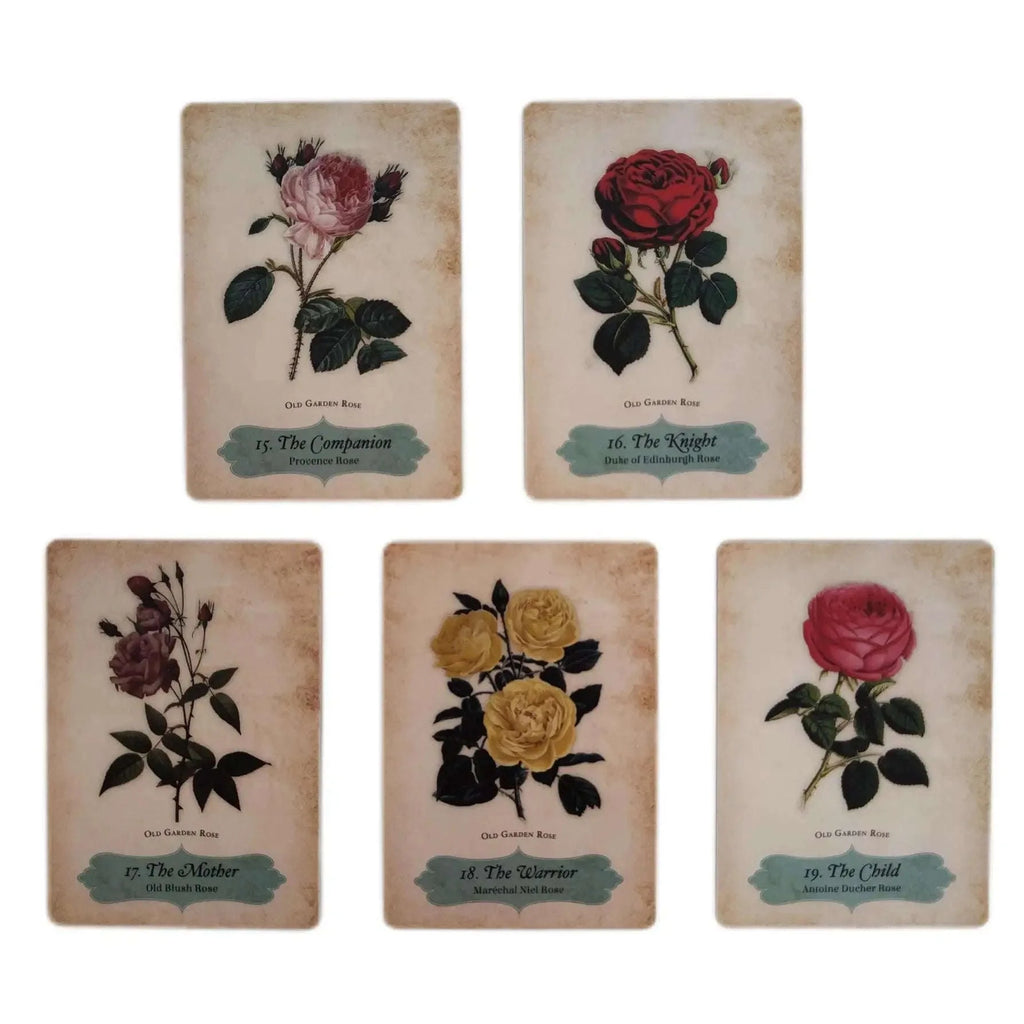 Oracle of The Roses – 44-Card Divinely Illustrated Botanical Oracle Deck for Spiritual Guidance & Family Party Games