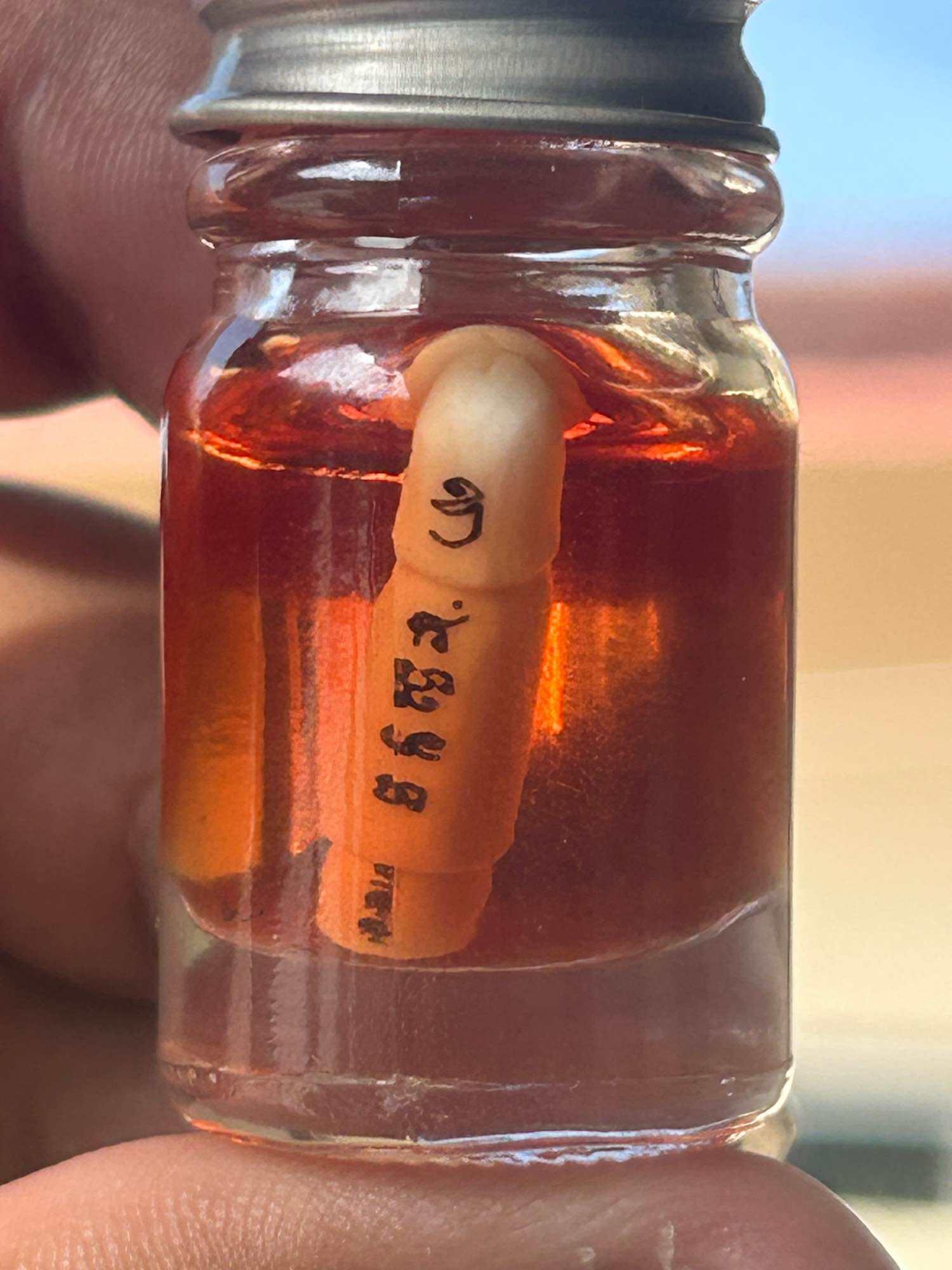 Palad Nga Kamjad Talisman with Nomman Jone Long Oil - Powerful Protective Charm for Spiritual Strength Default Title