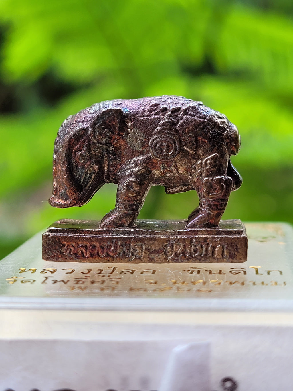 Phaya Moo Plik Phaen Din Amulet for Ultimate Destiny Transformation