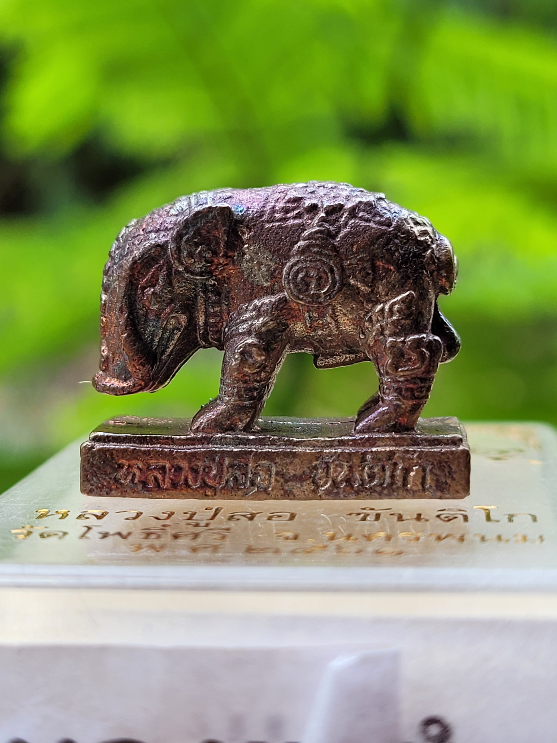 Phaya Moo Plik Phaen Din Amulet for Ultimate Destiny Transformation