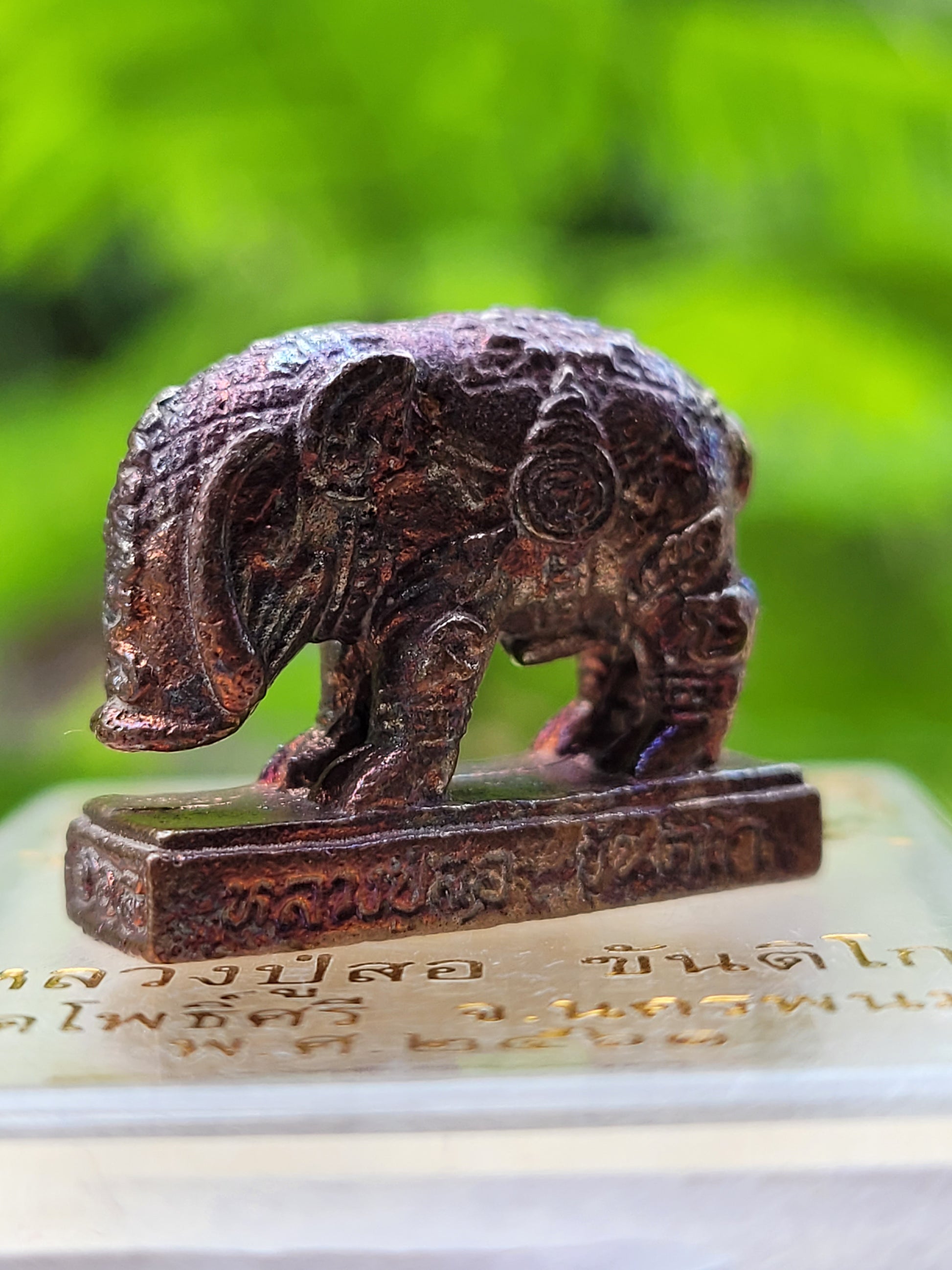 Phaya Moo Plik Phaen Din Amulet for Ultimate Destiny Transformation