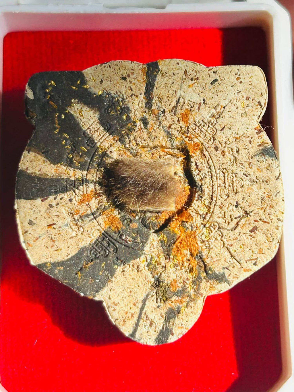 Phor Than Phong First Edition Sacred Tiger Mask