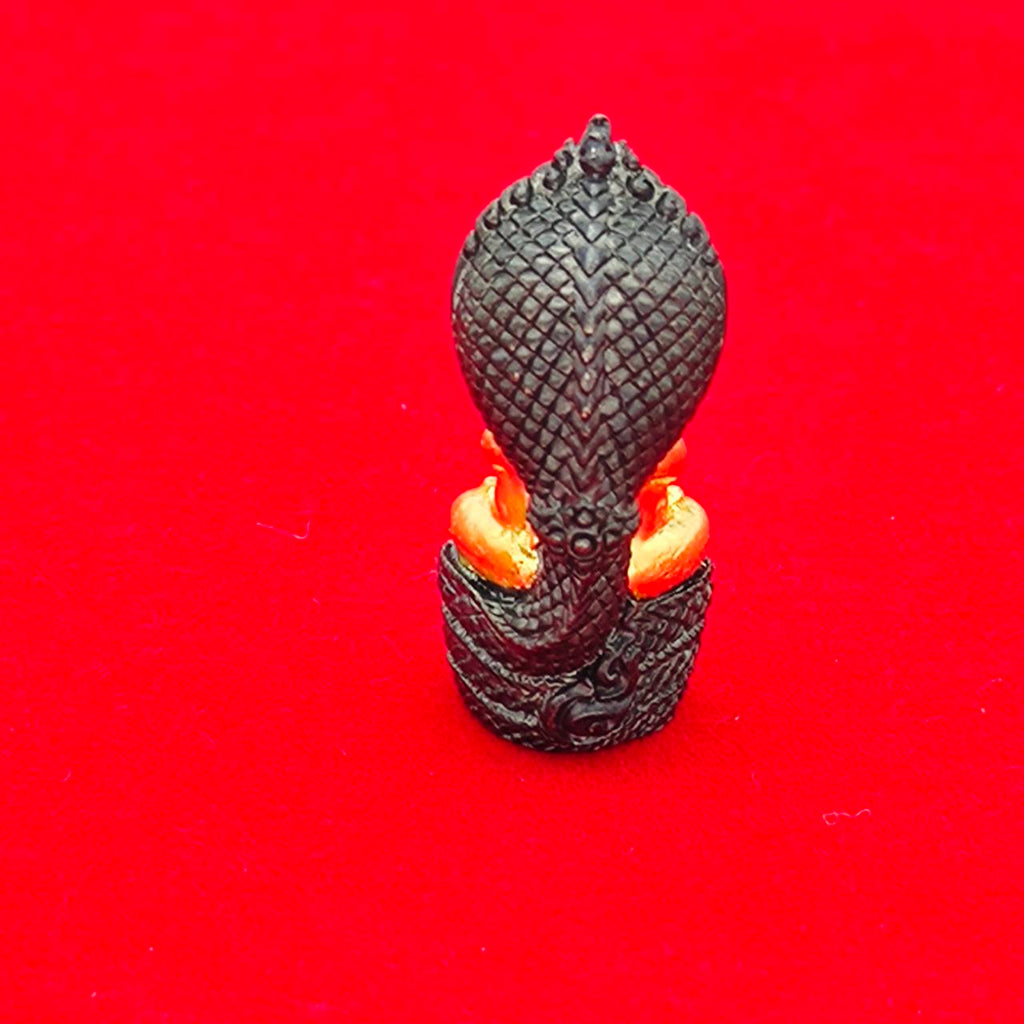 Phra Pidta Nakarat Amulet for Supreme Protection, Abundance, and Spiritual Blessings