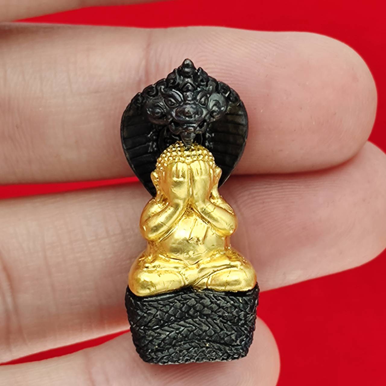 Phra Pidta Nakarat Amulet for Supreme Protection, Abundance, and Spiritual Blessings