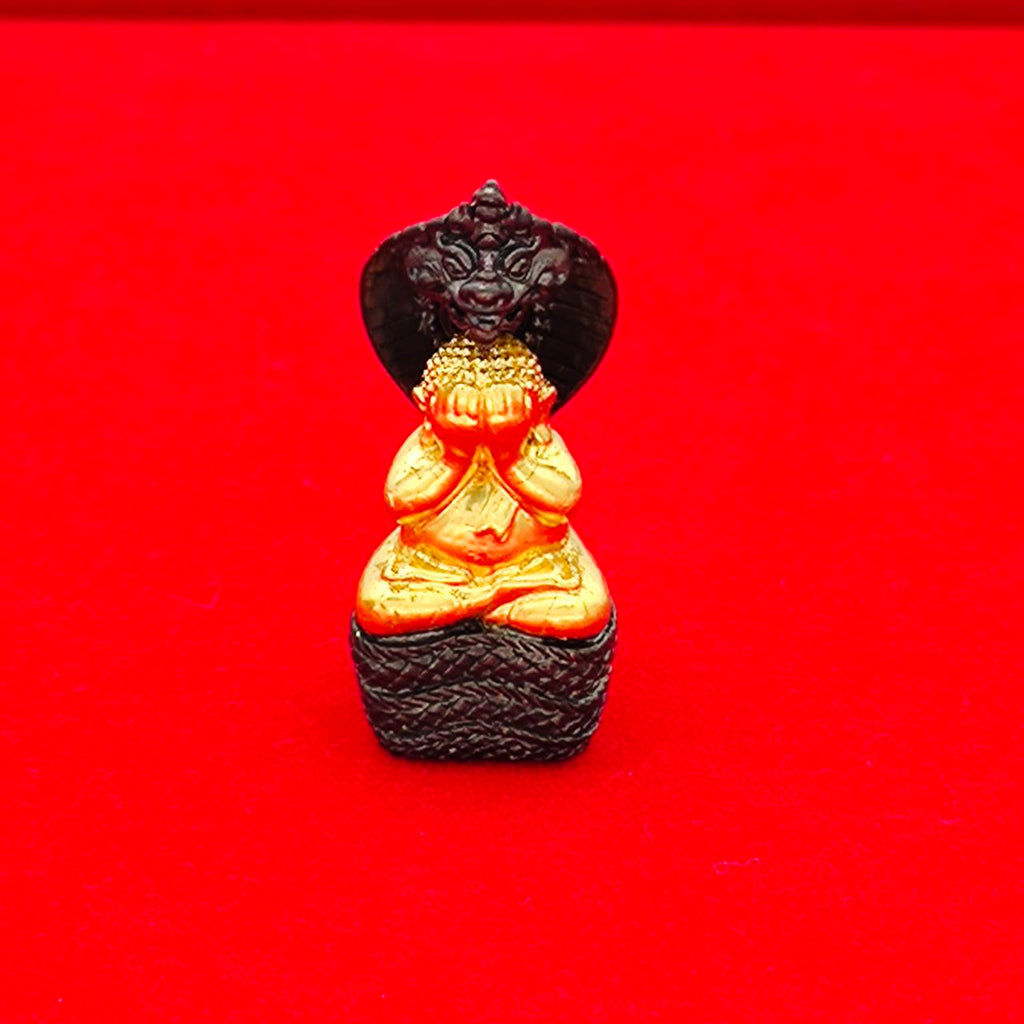 Phra Pidta Nakarat Amulet for Supreme Protection, Abundance, and Spiritual Blessings