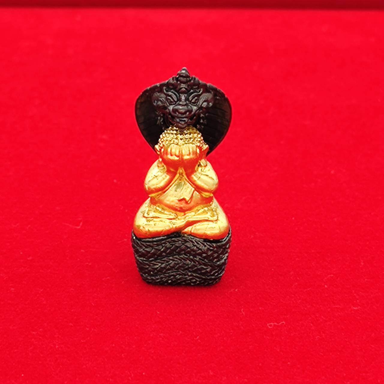 Phra Pidta Nakarat Amulet for Supreme Protection, Abundance, and Spiritual Blessings