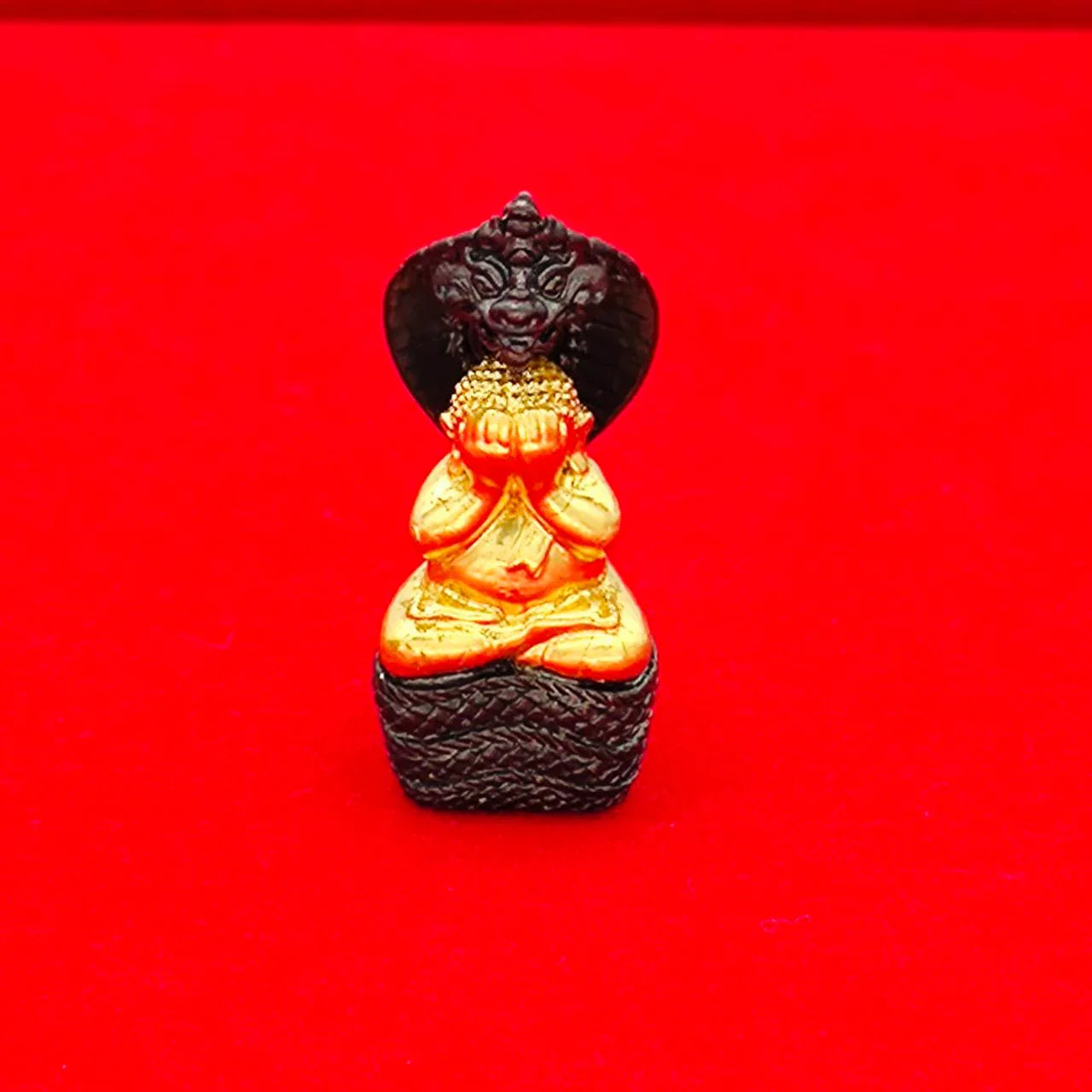 Phra Pidta Nakarat Amulet for Supreme Protection, Abundance, and Spiritual Blessings