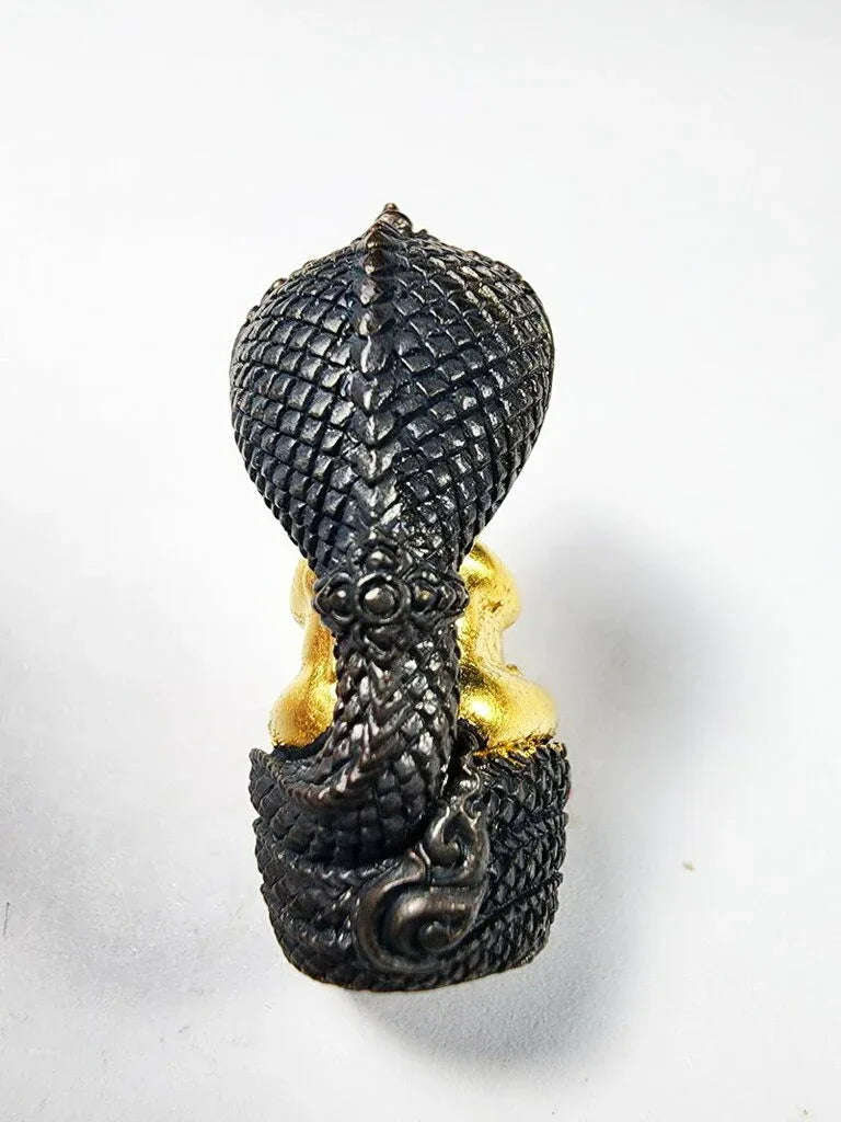 ✨ Phra Pit Ta Nakkharat Amulet, Mangkorn Blessing Edition – Luang Pu Kham Bu, Wat Kut Chomphu, Ubon Ratchathani