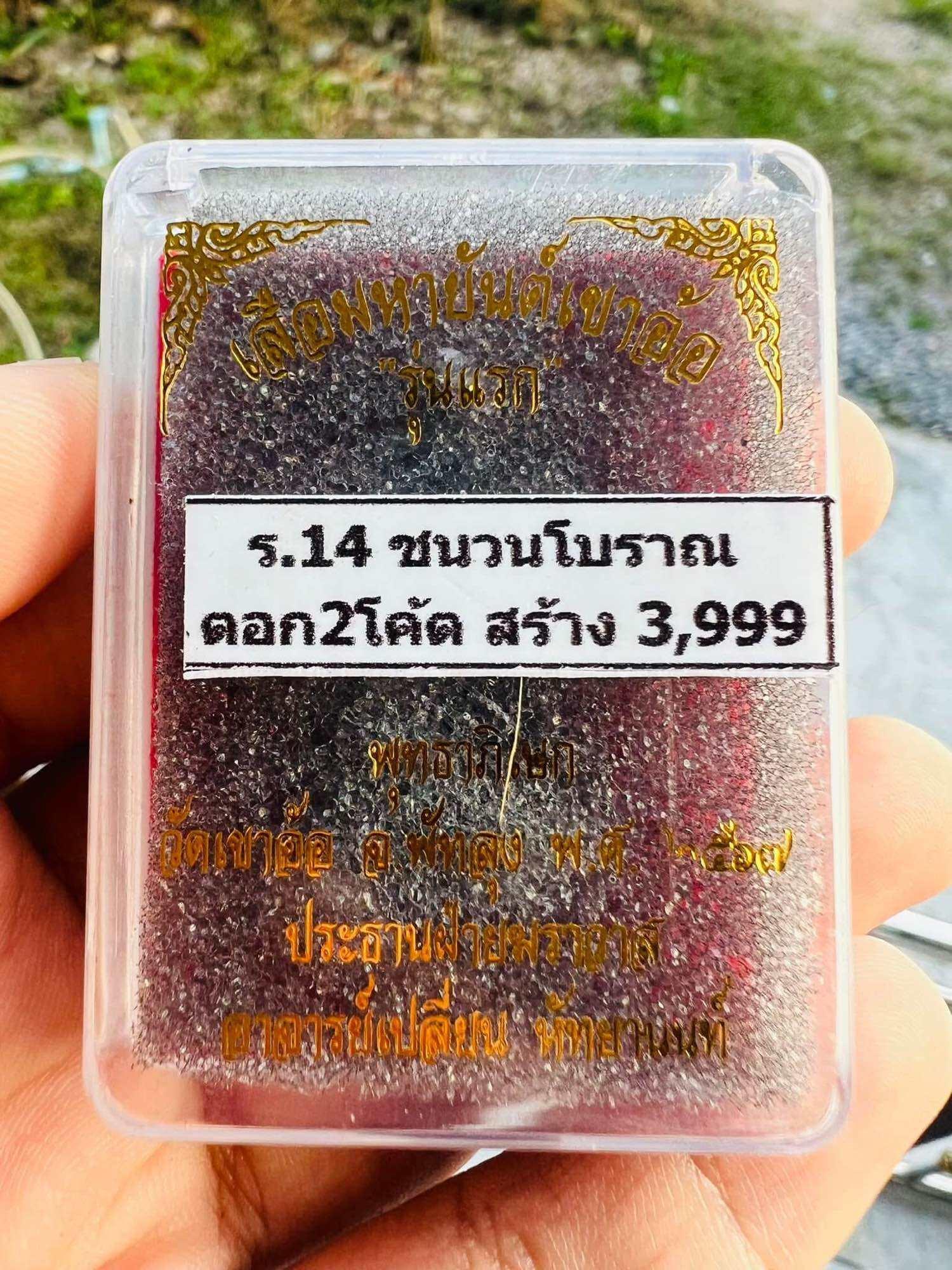 Tiger Protection Amulet for Powerful Protection | Premium Thai Amulet