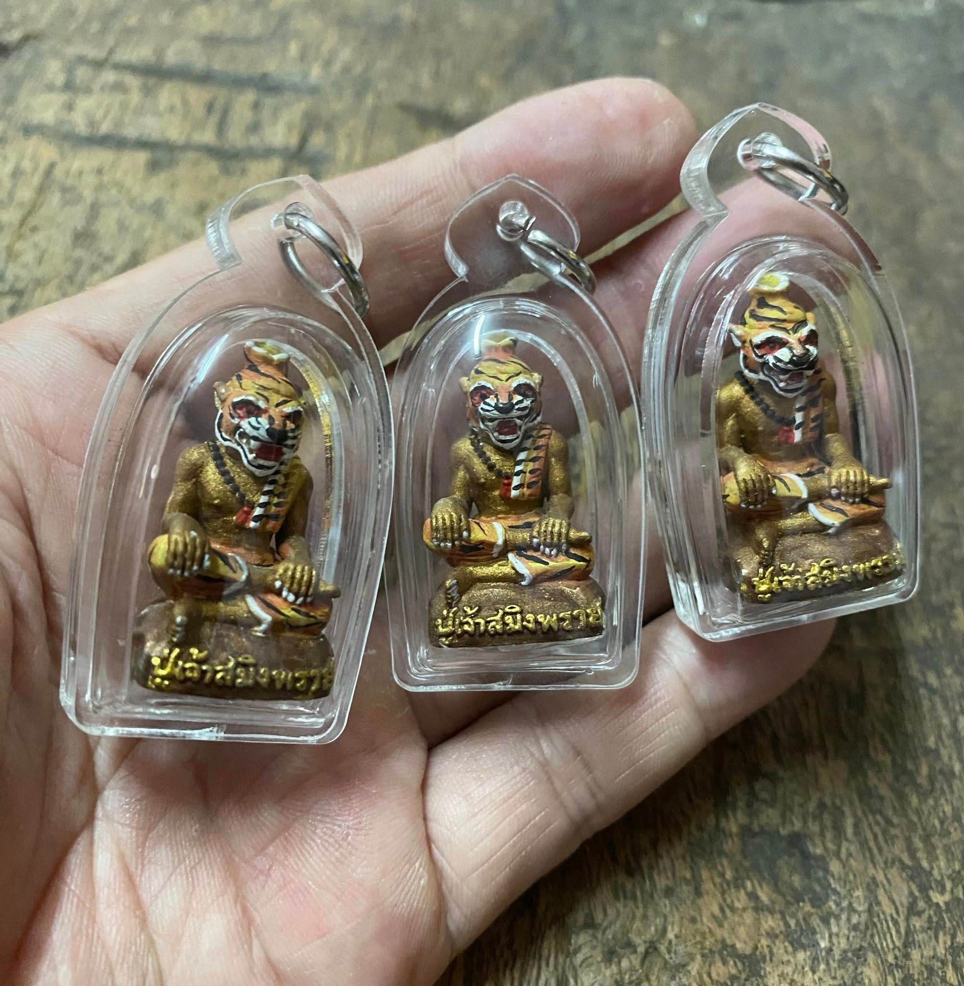 Hand holding three Pu Jao Saming Prai spirit talisman figurines in clear protective cases
