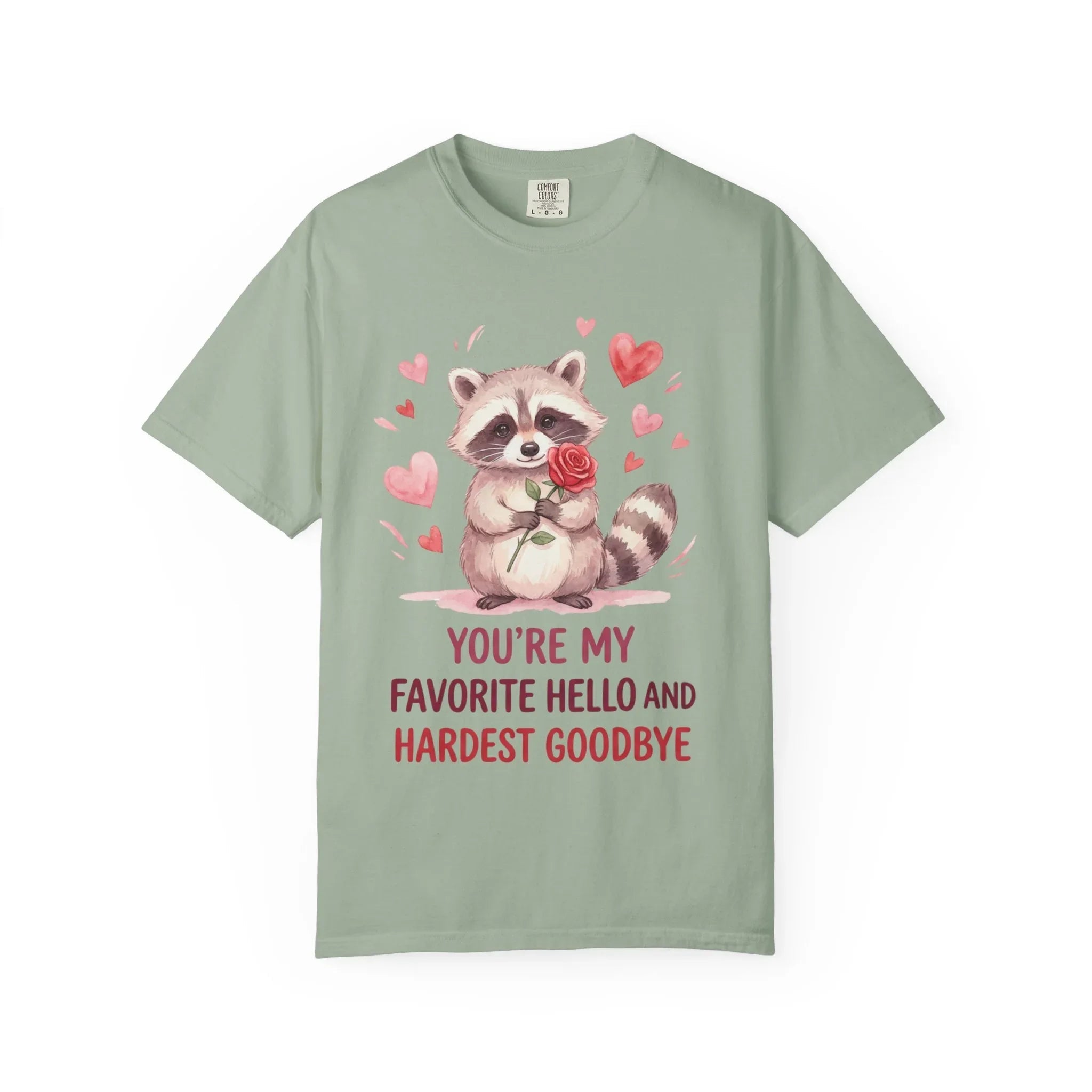 Raccoon Valentine T-Shirt | Youre My Favorite Hello Hardest Goodbye Graphic Tee Bay