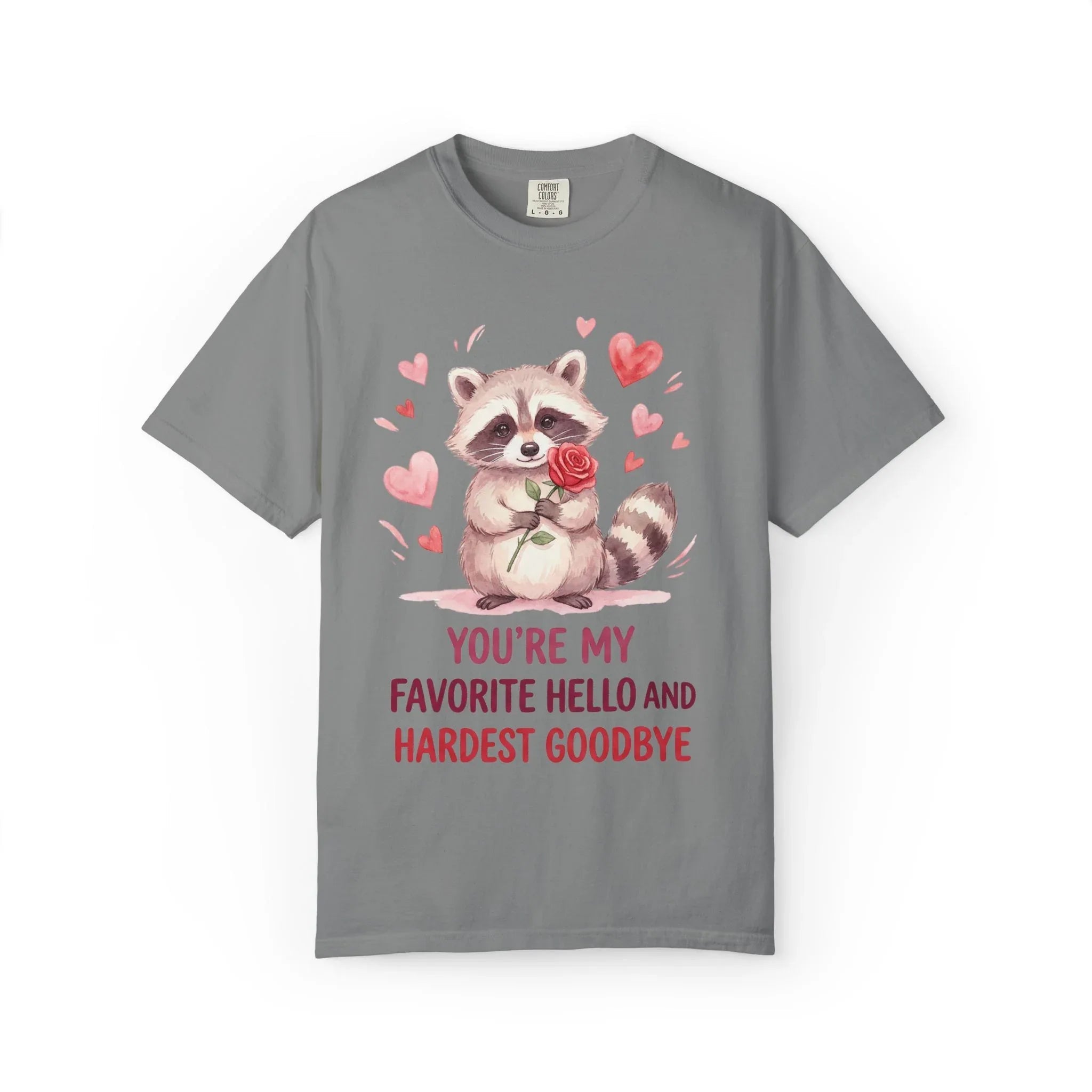 Raccoon Valentine T-Shirt | Youre My Favorite Hello Hardest Goodbye Graphic Tee Grey