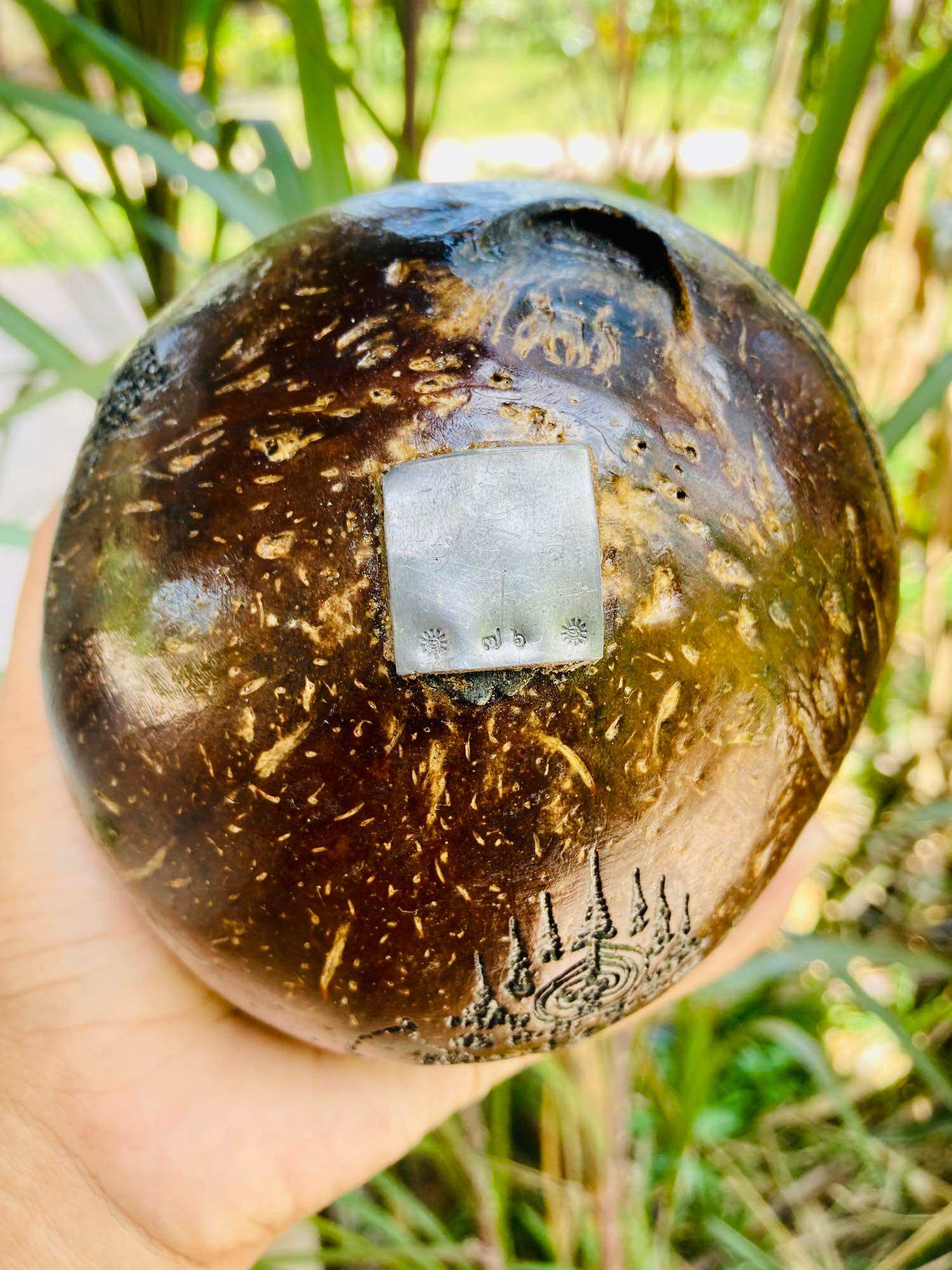 Rare Thai Carved Talisman - One-Eyed Coconut Blessing Inscription