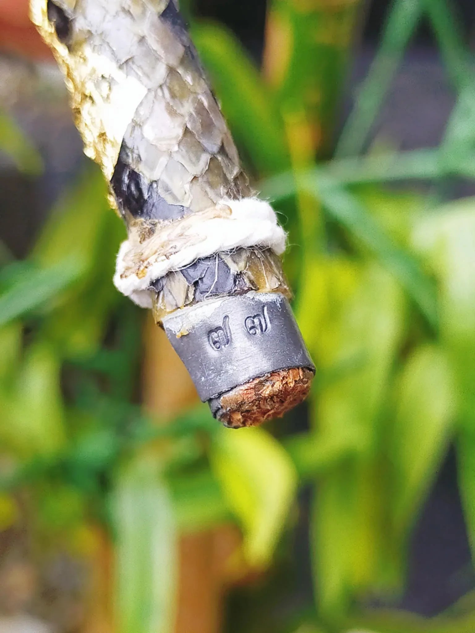Authentic Thai Python Skin Talisman - Lucky First & Second Editions by Luang Pu Im