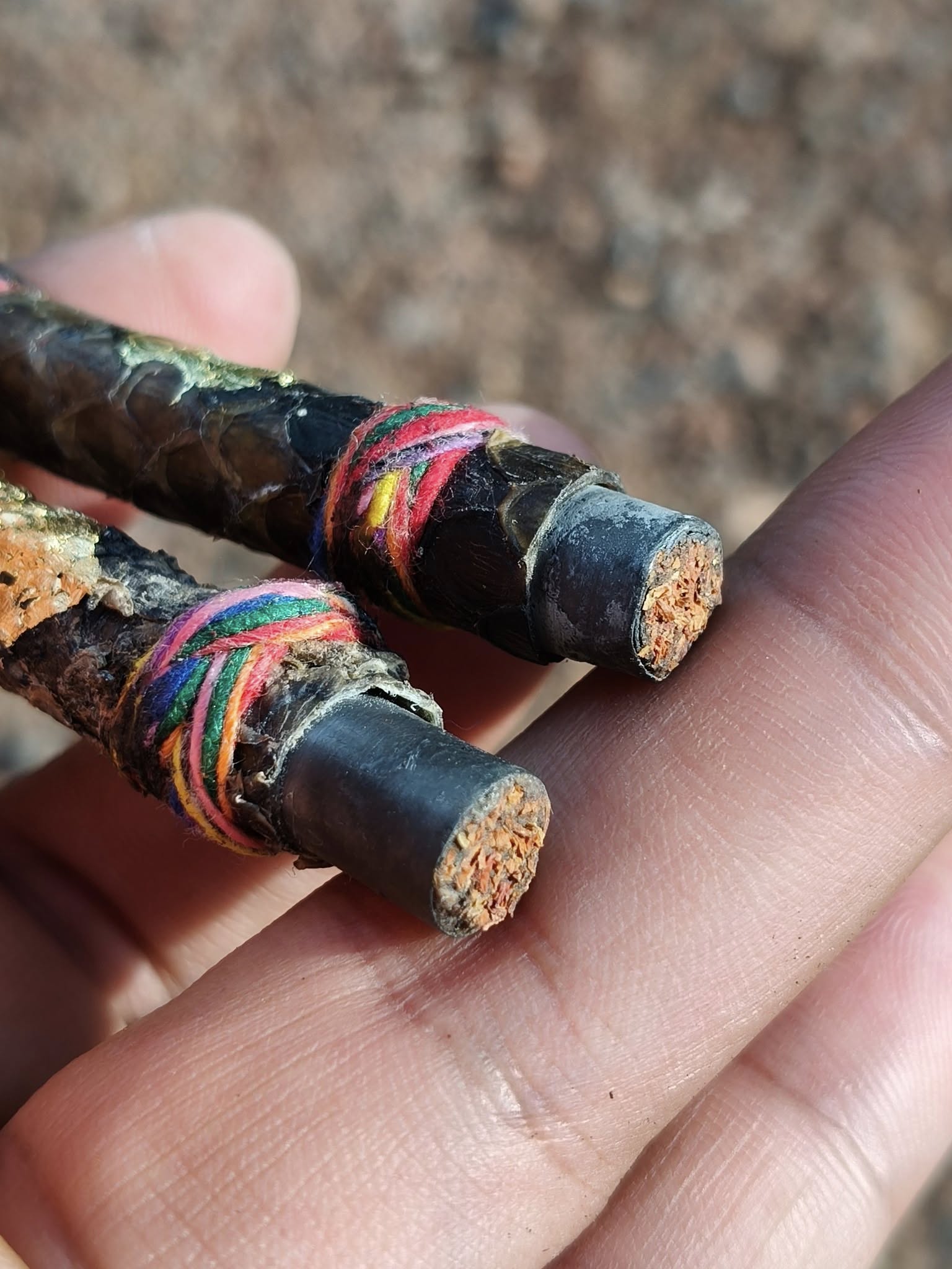 Handheld authentic Thai python skin talisman pair wrapped in colorful thread showing resin cores