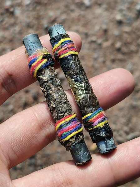Handheld pair of authentic Thai python skin talisman cylinders wrapped with multicolor threads and metal caps