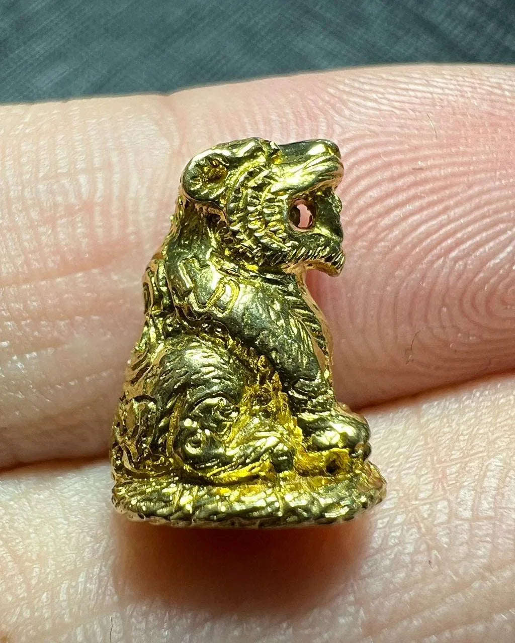 🐯 “Royal Pouncing Tiger of Fortune” – Saturday 5th Edition by Phra Palad Apichat (Ajarn Rach), Wat Khlong Khanon, Thailand – Power, Attraction & Wealth‑Pouncing Success Amulet
