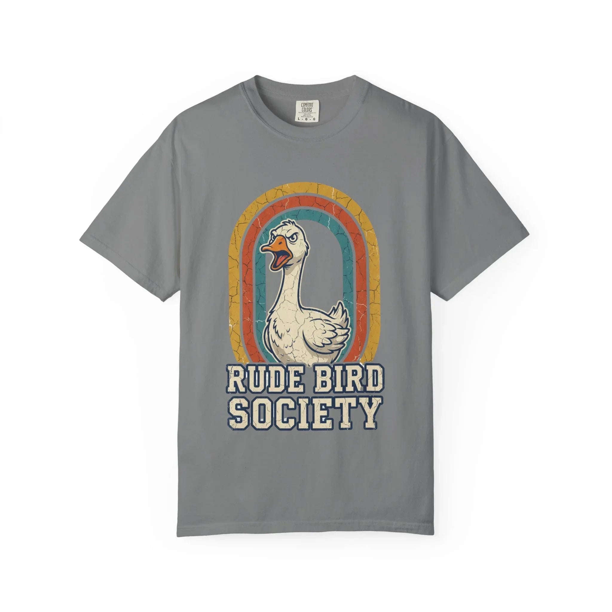 Rude Bird Society Goose Shirt, Retro Rainbow Tee, Funny Bird Humor T-Shirt, Vintage Distressed Graphic, Sarcastic Animal Gift Grey