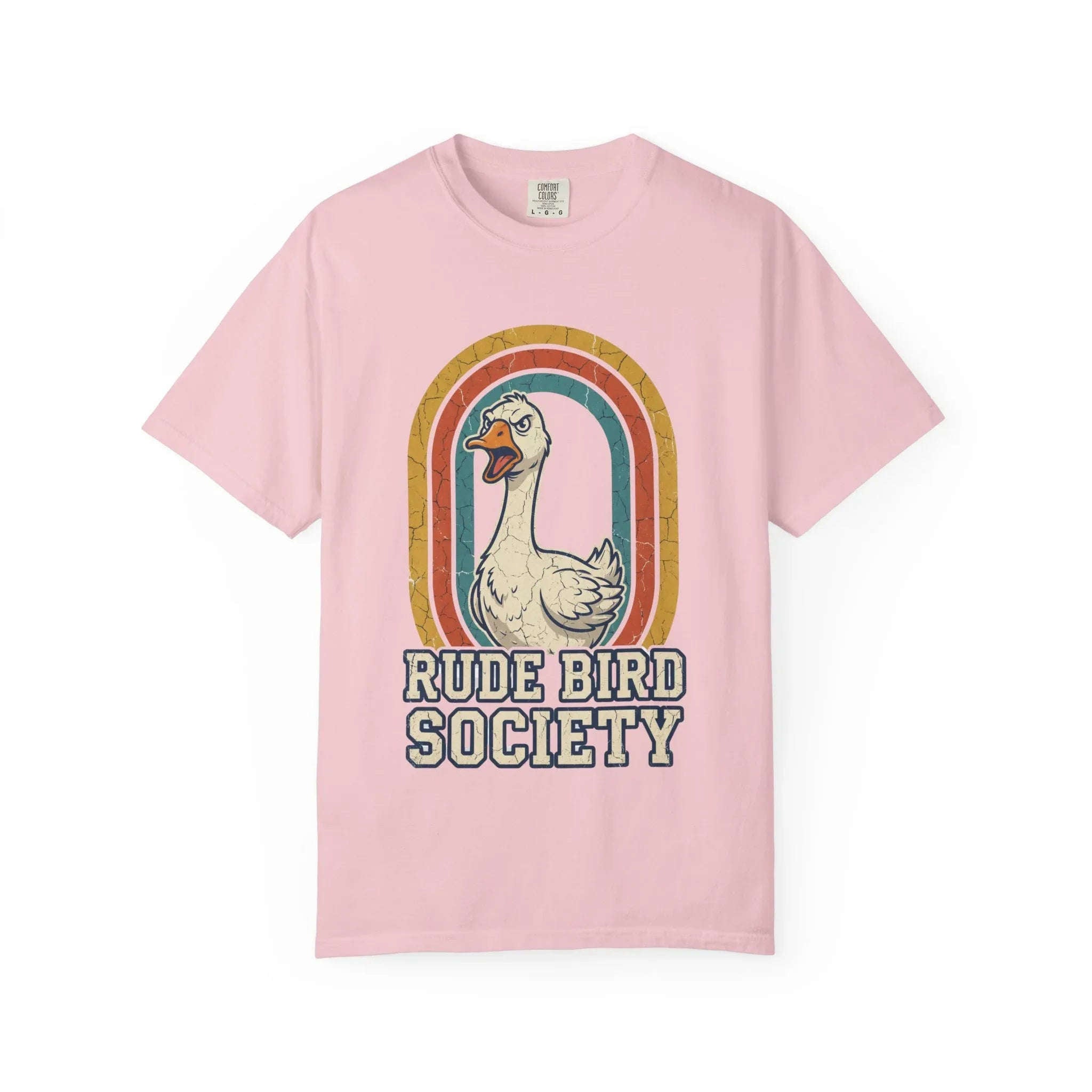 Rude Bird Society Goose Shirt, Retro Rainbow Tee, Funny Bird Humor T-Shirt, Vintage Distressed Graphic, Sarcastic Animal Gift Blossom