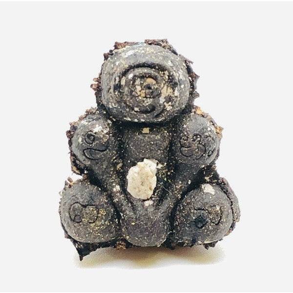 Sacred Ghost Bone Amulet for Spiritual Protection and Fortune Charm Black ash powder