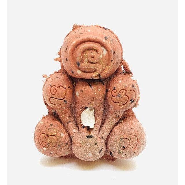 Sacred Ghost Bone Amulet for Spiritual Protection and Fortune Charm Red charm powder