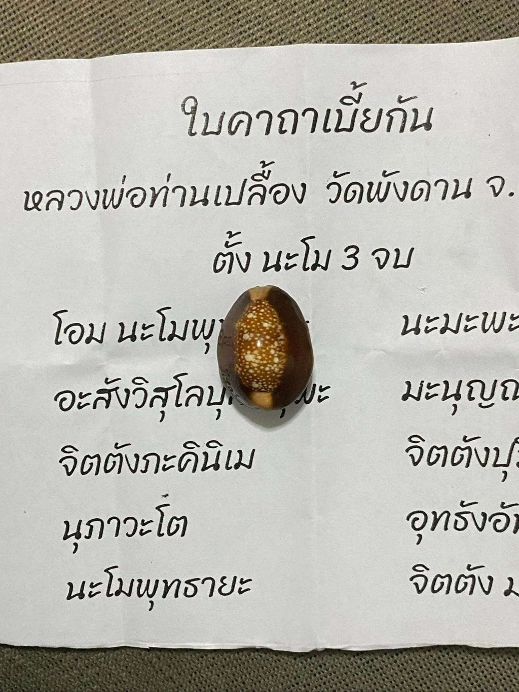 🐚 Sacred Mercury-Filled Phaya Shell Amulet – Blessed by Luang Phor Pleung, Wat Phang Dan, Phatthalung (Khao-Or Lineage)