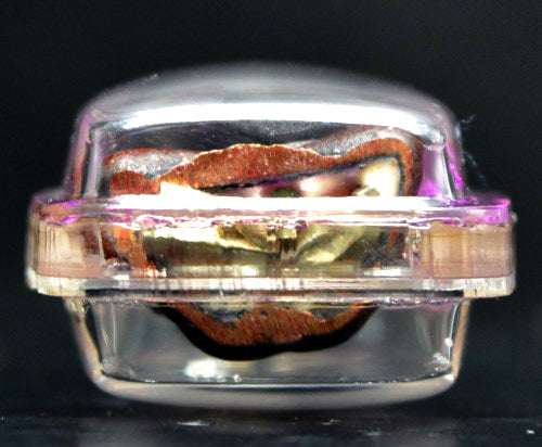 ✨ Sacred "Phaya Ngang Khot Saneh" (The Supreme Seduction Ngang): Ancient Copper & Sacred Alloy Edition – Consecrated by Kruba Baeng, Wat Ban Tanod (2026) Thai Blessing Co By RURUECHA