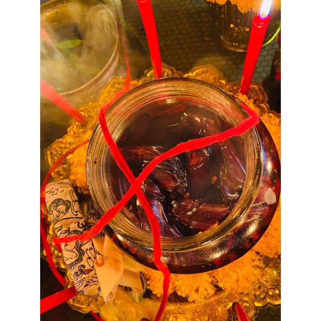 Sacred Phet Phaya Thorn Oil Charm for Love, Popularity, and Abundance Elixir