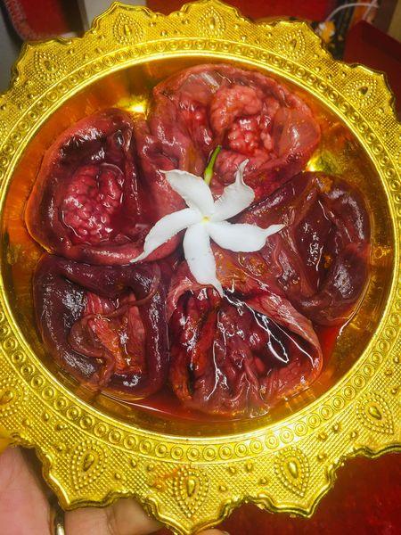 🐱 SACRED CAT PLACENTA: THE WEALTH MAGNET 💰 Unlock the Frequency of Infinite Abundance: Secure Your Legacy with the Ultra-Rare Feline Prosperity Relic
