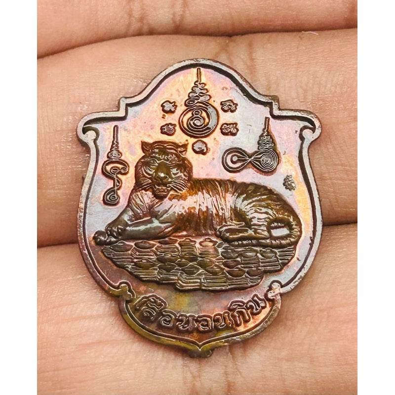Sao Non Gin Wealth Coin 2566 - Prosperity and Fortune Tiger Resting Coin by Phra Ajarn Prasut Default Title