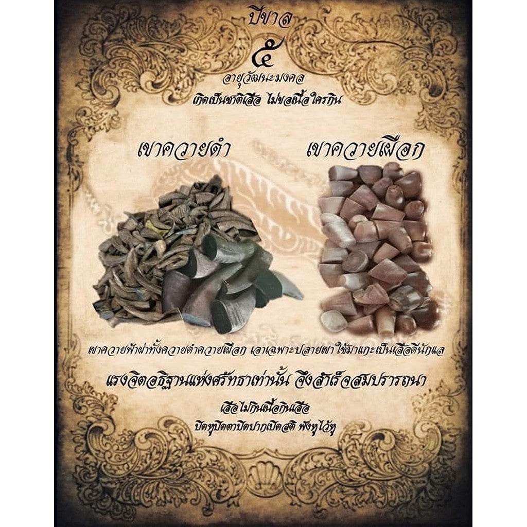Phaya Tao Buffalo Horn Amulet by Luang Pu Im – 106 Years of Sacred Power Legendary Southern Thai Talisman • For Wealth, Protection, and Metta Mahaniyom - Thai Blessing Co