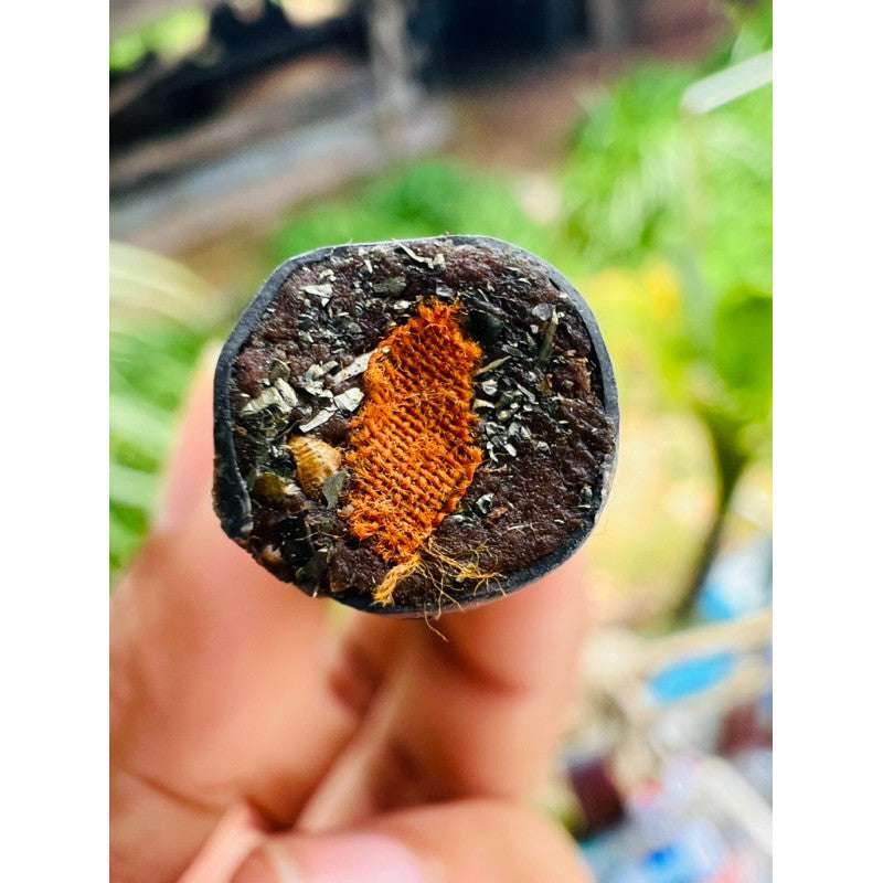 Solos Mongkol Sacred Talisman by Luang Pu Im – First Edition Amulet of Protection, Wealth & Fortune with 16 Blessings