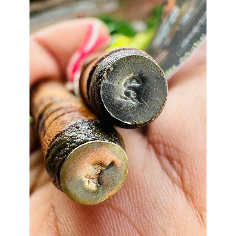 Mahawet Magic Wand Amulet by Luang Pu Im – 5D Spiritual Protection for Authority and Empowerment