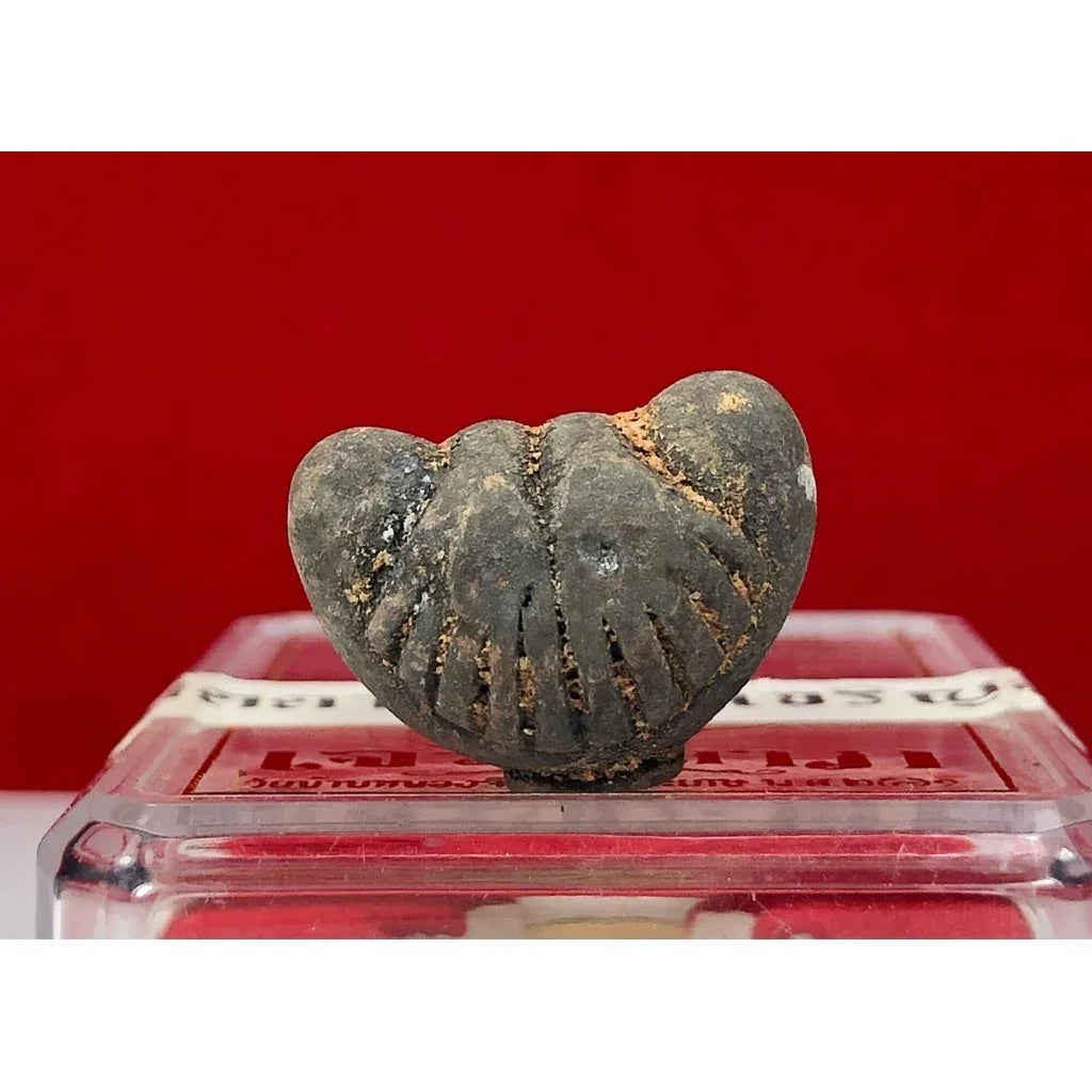 ✨ Ancient Phra Pidta Talisman by Luang Pu Saen – Supreme Protection, Invincibility & Prosperity Booster